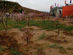 -仁寿山
