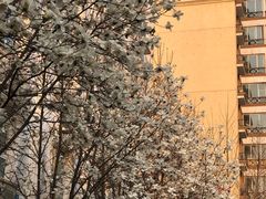 -首都师范大学科德学院