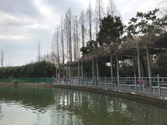 -黄兴公园
