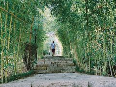 -竹子庵公园