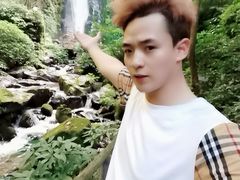 -莫里热带雨林景区