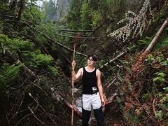 -峡谷浮石林景区