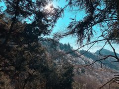 -南岳衡山风景名胜区