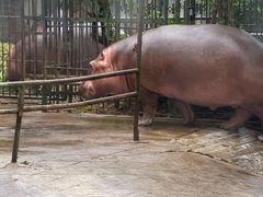 -成都动物园