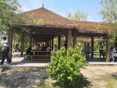 -呼兰河口湿地公园