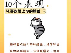 -荔康动物医院(康王北路店)