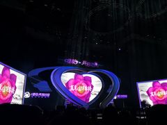 -成都金融城演艺中心