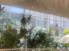-大树餐厅(红旗街万达店)