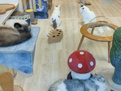 -上海龙之梦万丽酒店