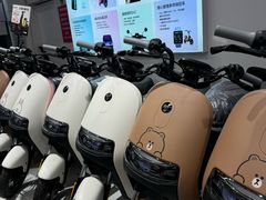 -九号电动车(安定门内大街店)