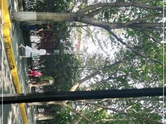 -西南政法大学(沙坪坝校区)