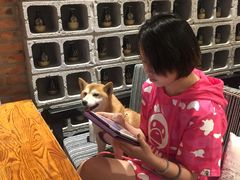 -苹果树下艺术餐厅(宋庄店)