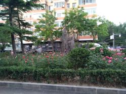 -私家美林护肤造型