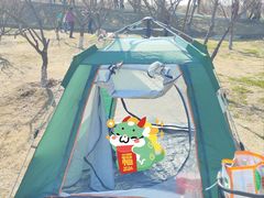 -南湖湿地公园