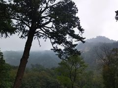 -北京上方山国家森林公园