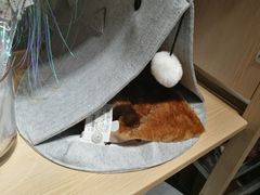 -OCE(熙地港购物中心店)