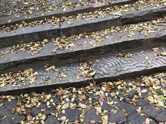 -雨花胜境