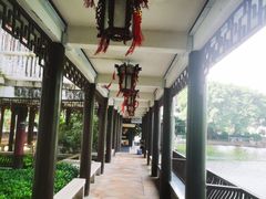 -侨美·唐荔园·40年地道粤菜