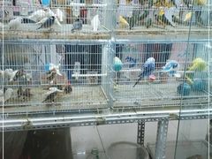 -三旗百汇商品城