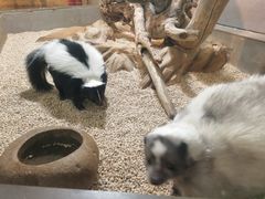 -昆明大悦城未来动物城(螺蛳湾中心店)