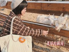 -HERRE·FARM 赫尔露营农场·团建聚会包场