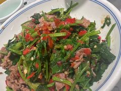 香菜炒牛肉-壹盏灯(蚂蚁工房店)