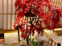 -庆春朴门