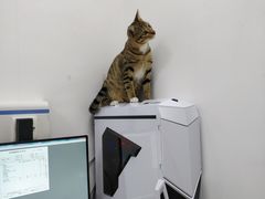 -创凡宠物医院·骨专科  猫科中心(西乡分院)