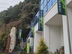 -南山植物园