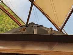 -怀托摩萤火虫洞