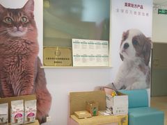 -瑞派申生动物医院·24H夜诊·国际动物医疗中心·骨外科(吴中路店)