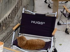 -HUGS coffee(东区店)