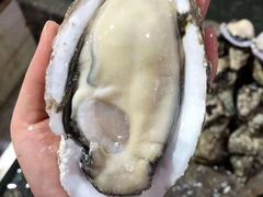 -土蚝·高压锅生蚝(百姓美食街店)