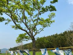 -良渚古城遗址公园