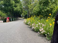 -天生桥景区