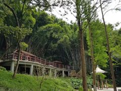 -天鹿湖森林公园
