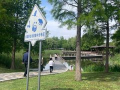 -同里国家湿地公园