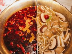 -九鼎轩脆毛肚火锅(三钢里店)