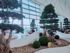 -郑州新郑国际机场