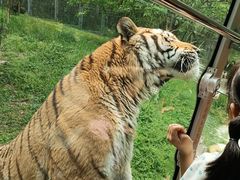 -西安秦岭野生动物园