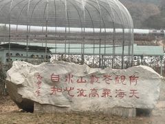 -金石滩蓝莓谷庄园