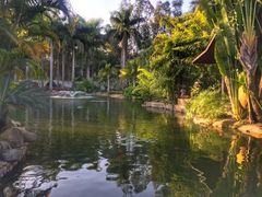 -厦门日月谷温泉渡假村