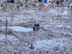 -南汇嘴观海公园