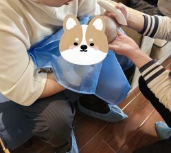 -慧婴轩婴儿理胎发胎毛笔胎毛画手足印(通州店)