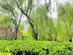 -玲珑塔公园