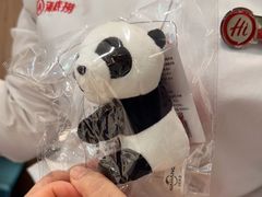 -海底捞火锅(万丰桥店)