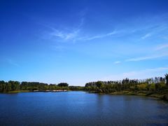 -东郊湿地公园