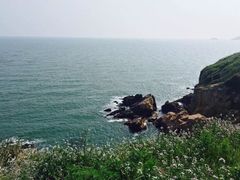-枸杞岛