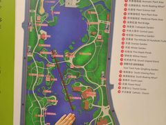 -青枫公园