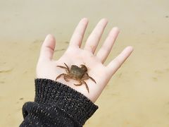 -王潮活海鲜自助·蒸汽海鲜